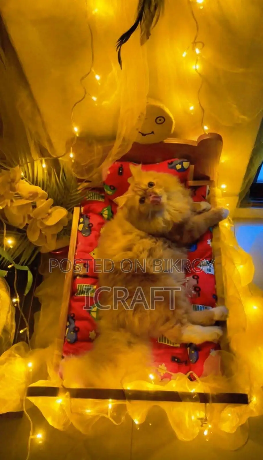 Cat Bed (Wooden)