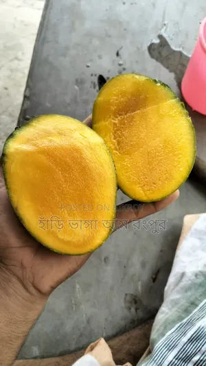 বলছিলাম আমার রাজ্য থেকে ।