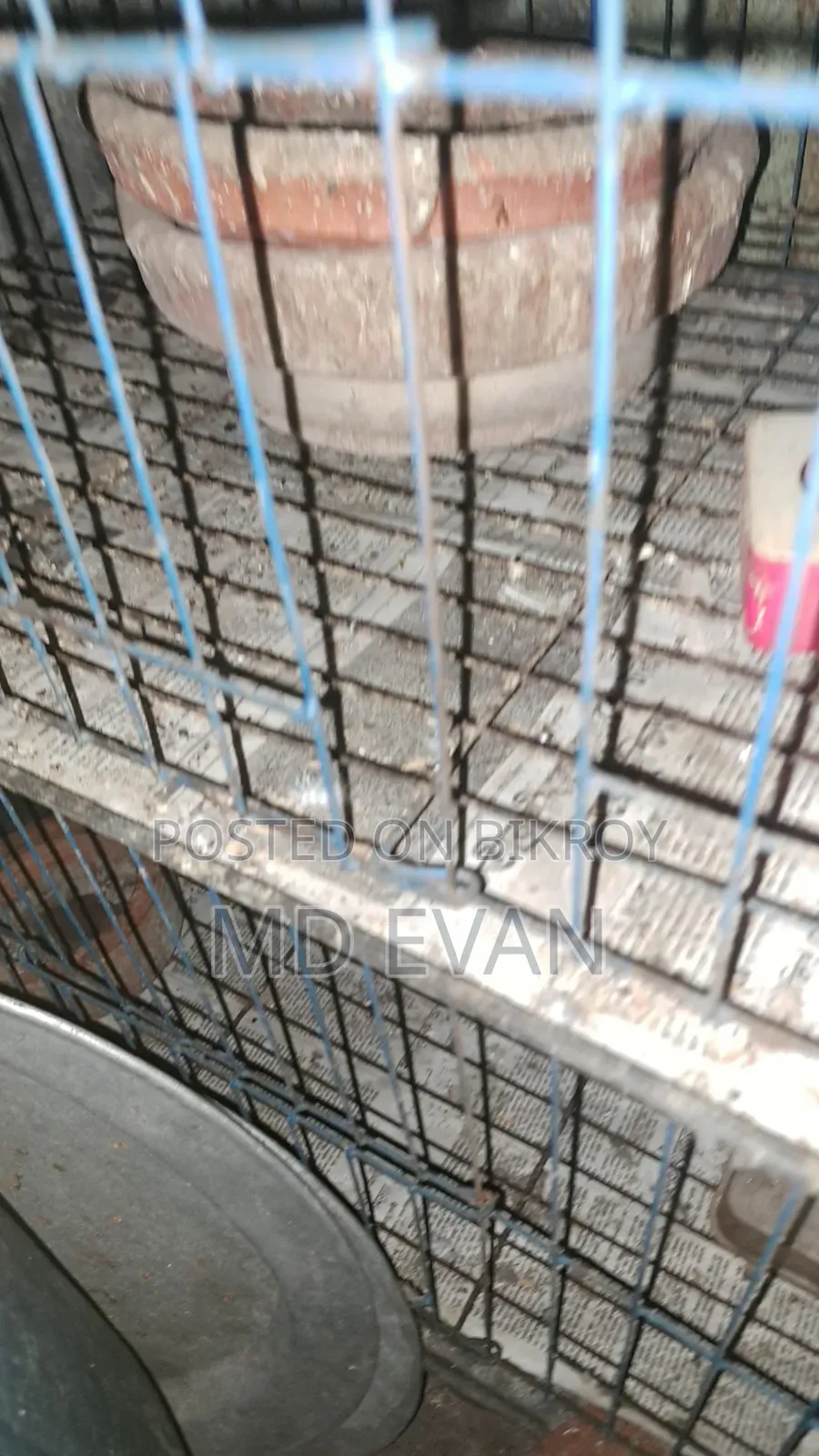 4 Khop Cage for Sale at Low Price Fresh Conditions