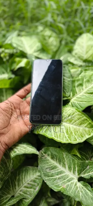 Symphony Z42 32 GB Gray