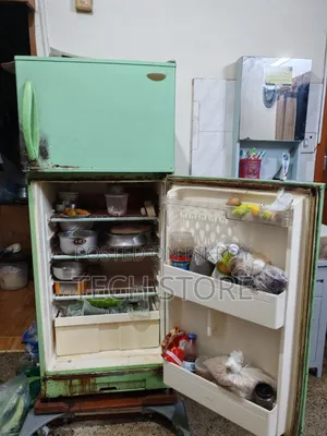 সিঙ্গার ফ্রিজ রানিং