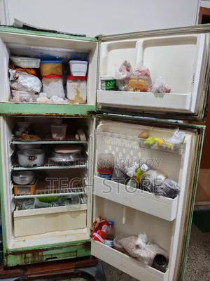 Singer Fridge Running