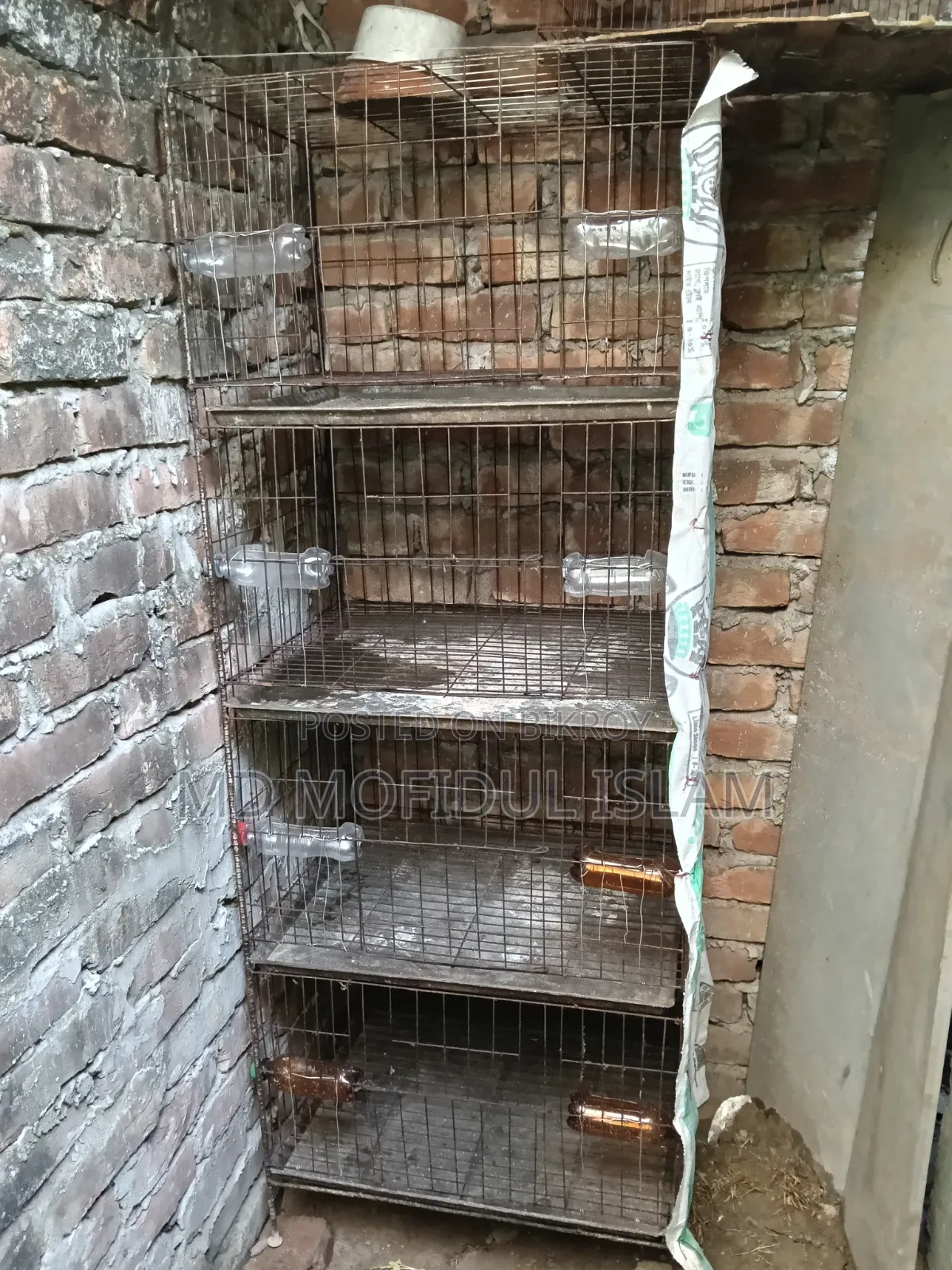 Bird Cage