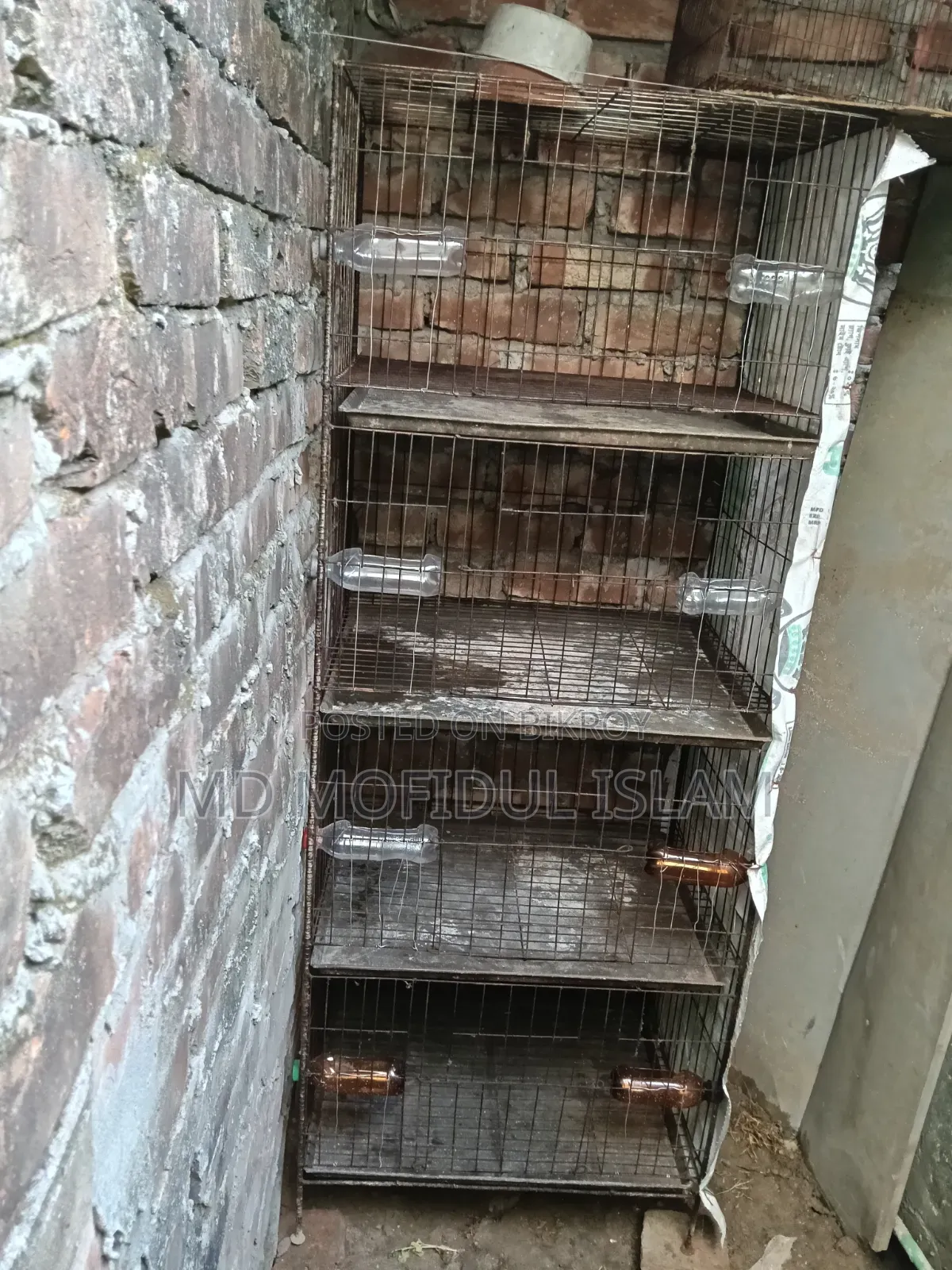 Bird Cage