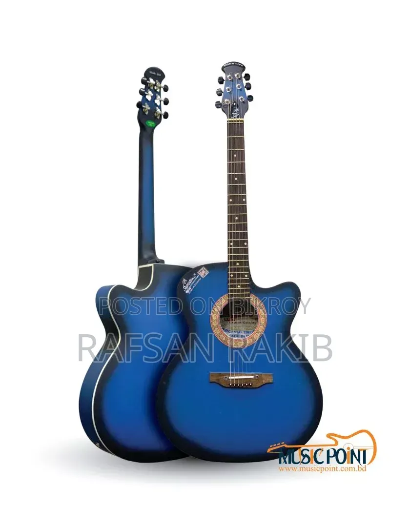 Signature Acoustic Guitar-Loud Series