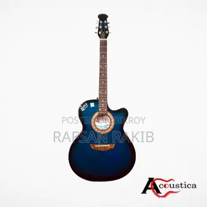 Signature Acoustic Guitar-Loud Series
