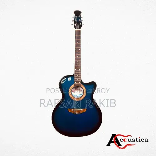 Signature Acoustic Guitar-Loud Series