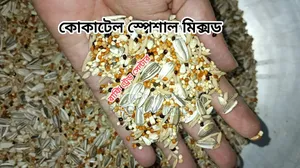 Cockatiel Bird Seed Mix (Special) - 1 KG