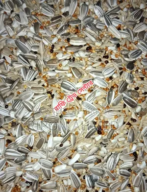 Cockatiel Bird Seed Mix (Special) - 1 KG