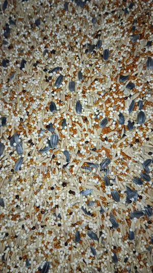 Cockatiel Seed Mix Regular - 1 KG