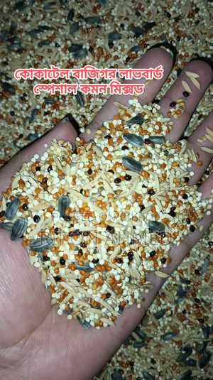 Cockatiel Seed Mix Regular - 1 KG