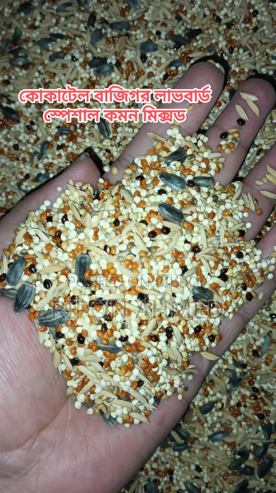 Cockatiel Seed Mix Regular - 1 KG