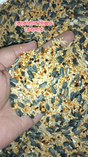 Cockatiel Seed Mix Regular - 1 KG