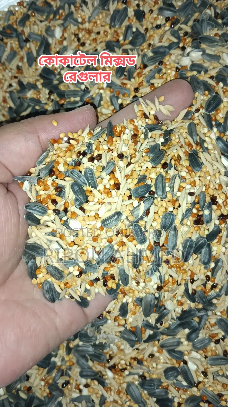 Cockatiel Seed Mix Regular - 1 KG