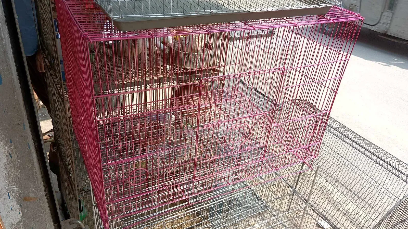 1 Steel Cage for Birds (18/24 inches)