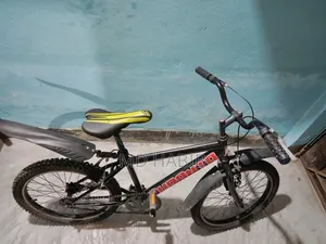 Duranta Bicycle (Size 20)