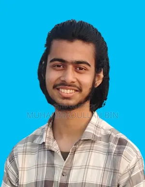 Muhammadullah Bin Mostofa