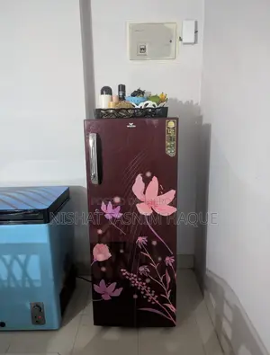 ওয়ালটন ডাইরেক্ট কুল রেফ্রিজারেটর ২২৫ লিটার সিঙ্গেল ডোর