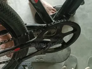 Duranta Bicycle