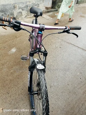 Purple Color Gear Cycle Oil Brake