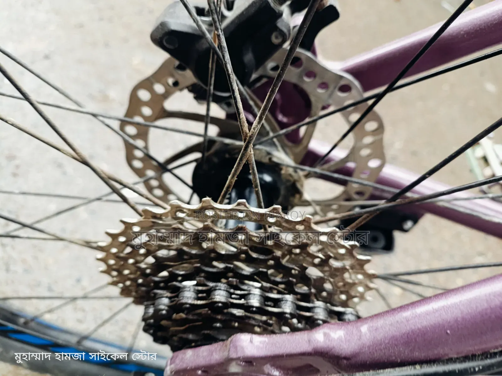 Purple Color Gear Cycle Oil Brake