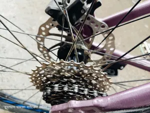 Purple Color Gear Cycle Oil Brake