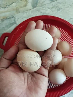 দেশি মুরগির ডিম