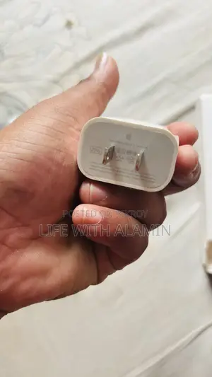 iPhone Charger
