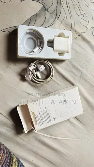 iPhone Charger