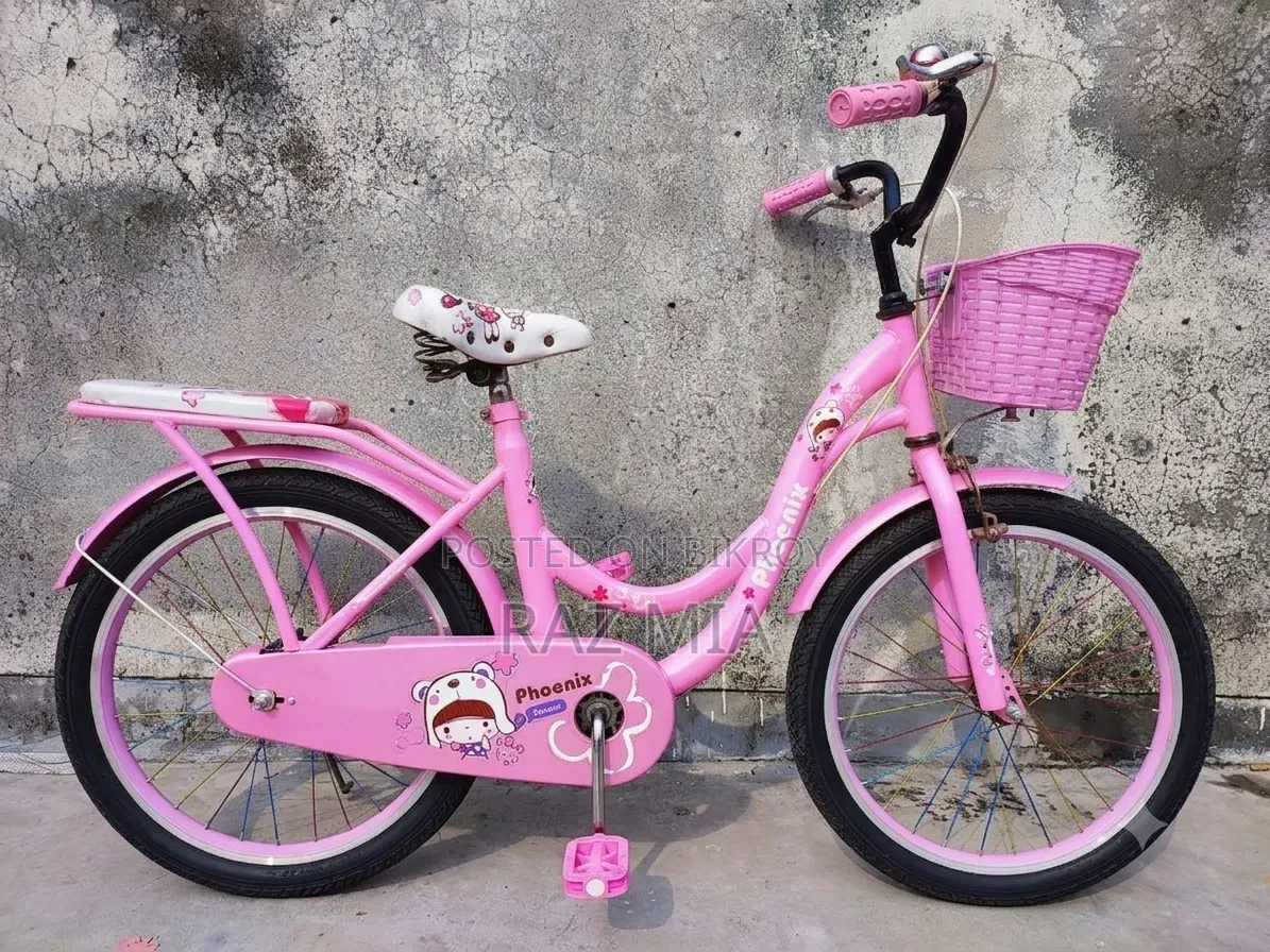 20-inch Ladies Cycle
