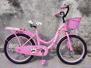 20-inch Ladies Cycle