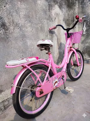 20-inch Ladies Cycle