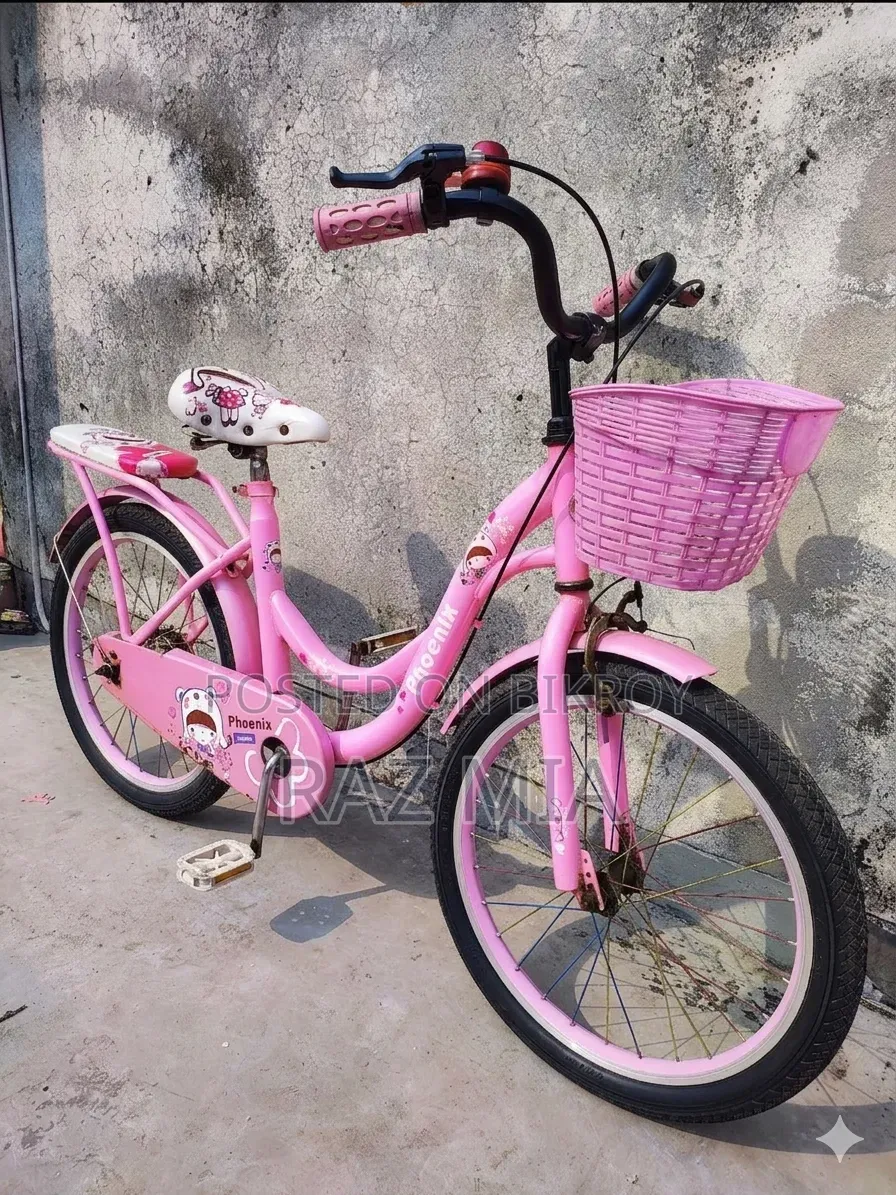 20-inch Ladies Cycle