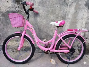 20-inch Ladies Cycle