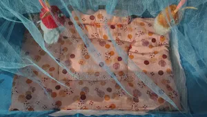Baby Cradle