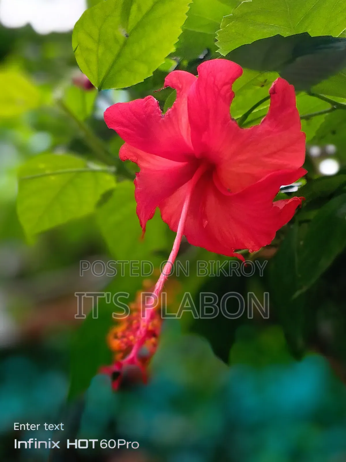 Infinix Hot 60 Pro 128 GB Black