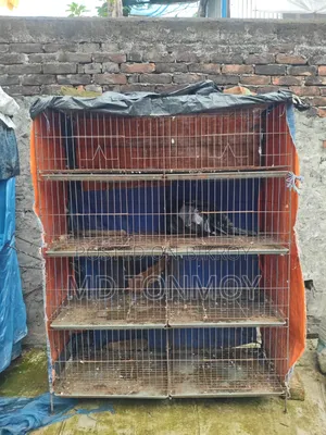 8 Compartment Cage