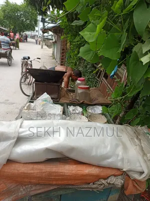 বাদাম এর গাড়ি