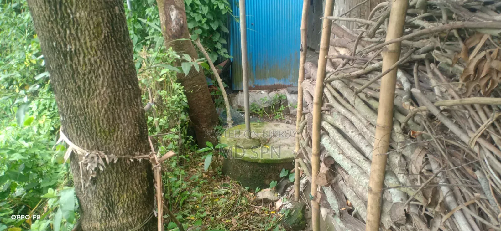 House land for sale