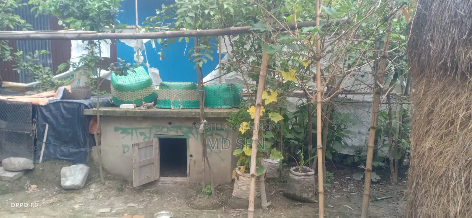 House land for sale