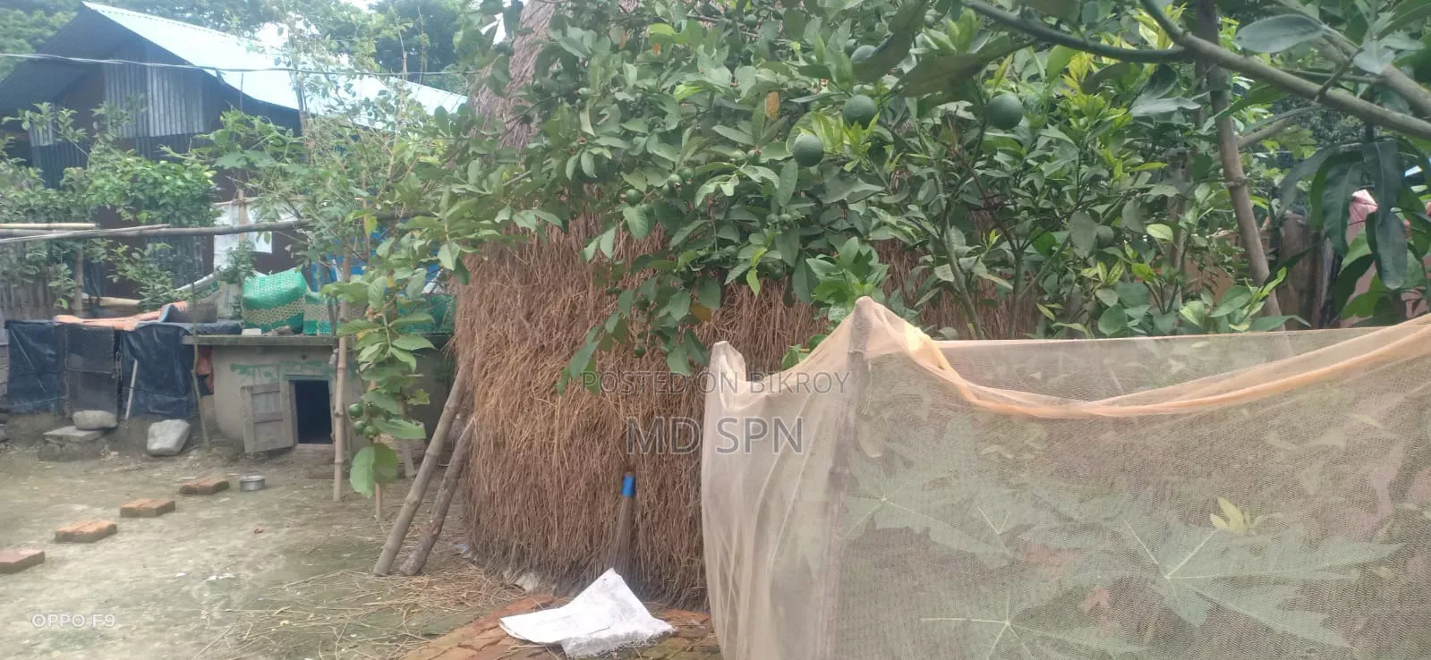 House land for sale