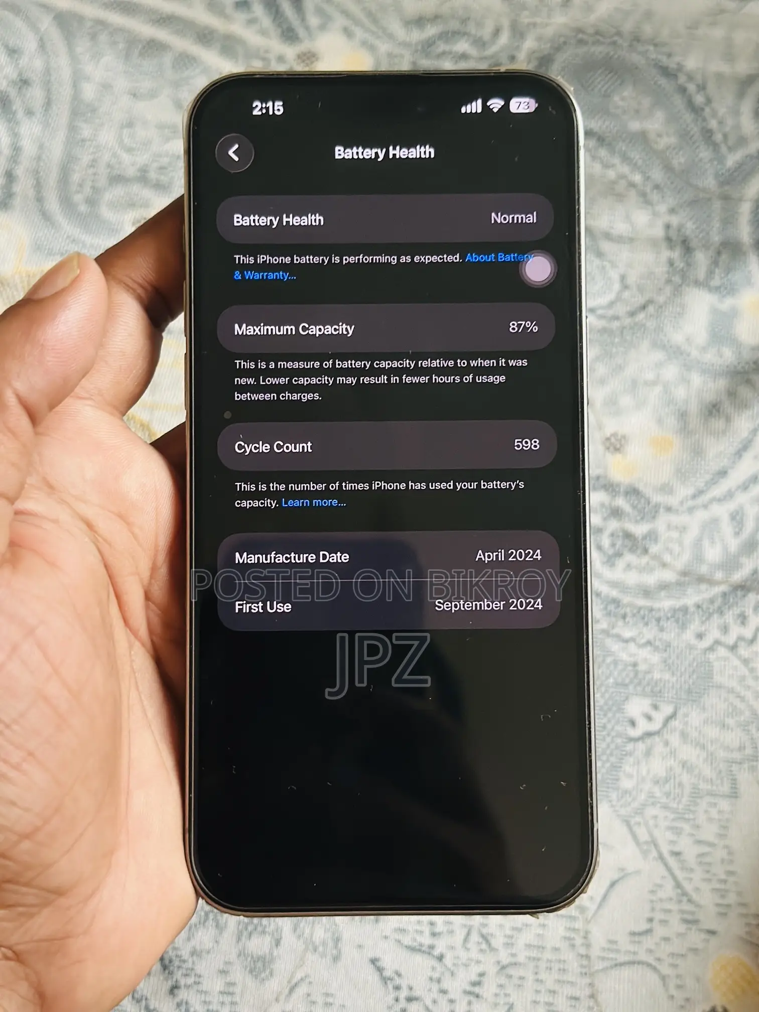 Apple iPhone 15 Pro Max 256 GB Silver