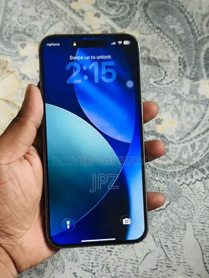 Apple iPhone 15 Pro Max 256 GB Silver