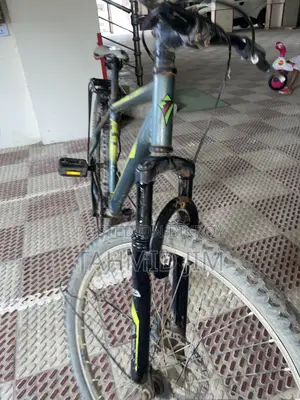 Cycle With Suspension