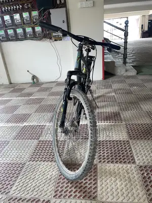 Cycle With Suspension