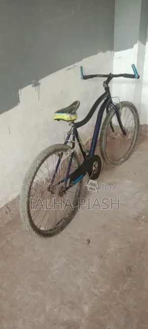 Bicycle Cycle