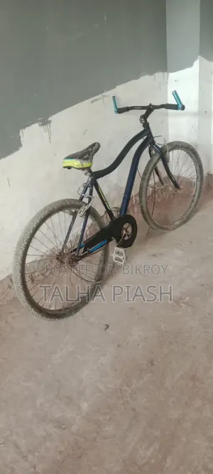 Bicycle Cycle