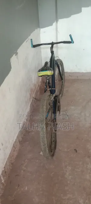 Bicycle Cycle