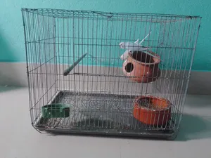 Budgerigar Bird (with cage)