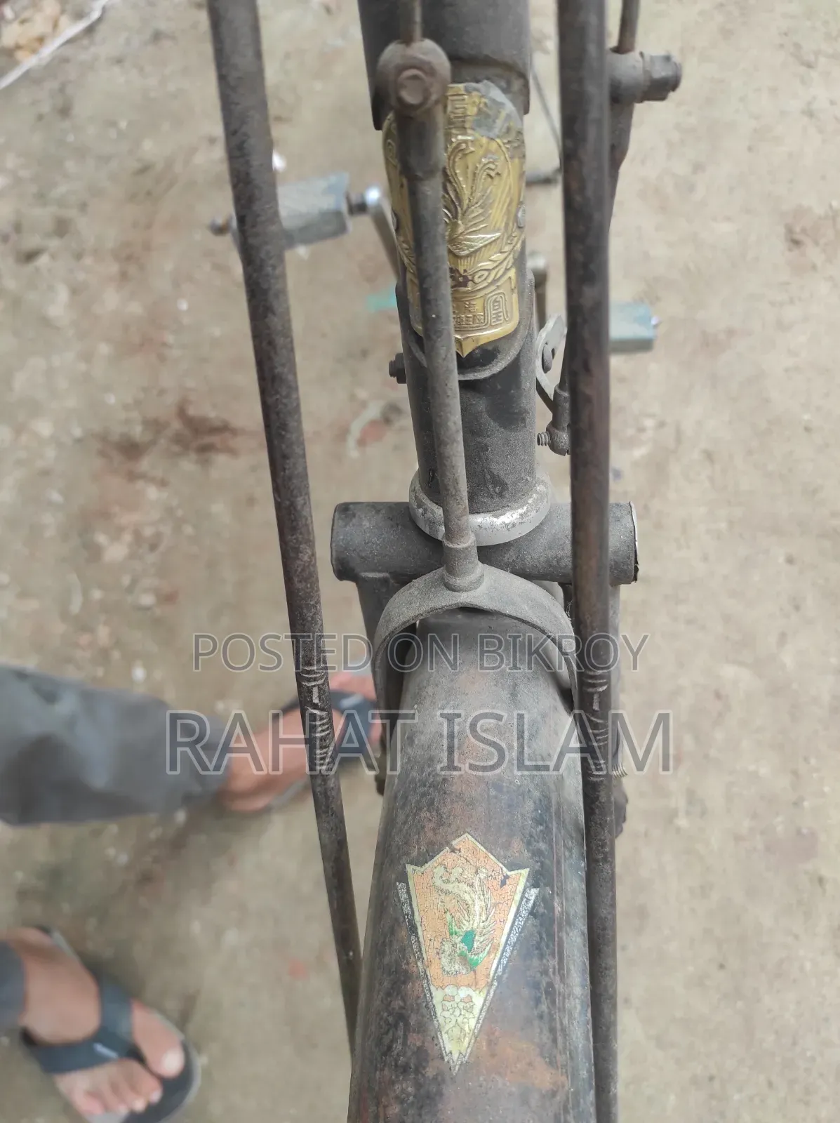 China Phoenix Bicycle